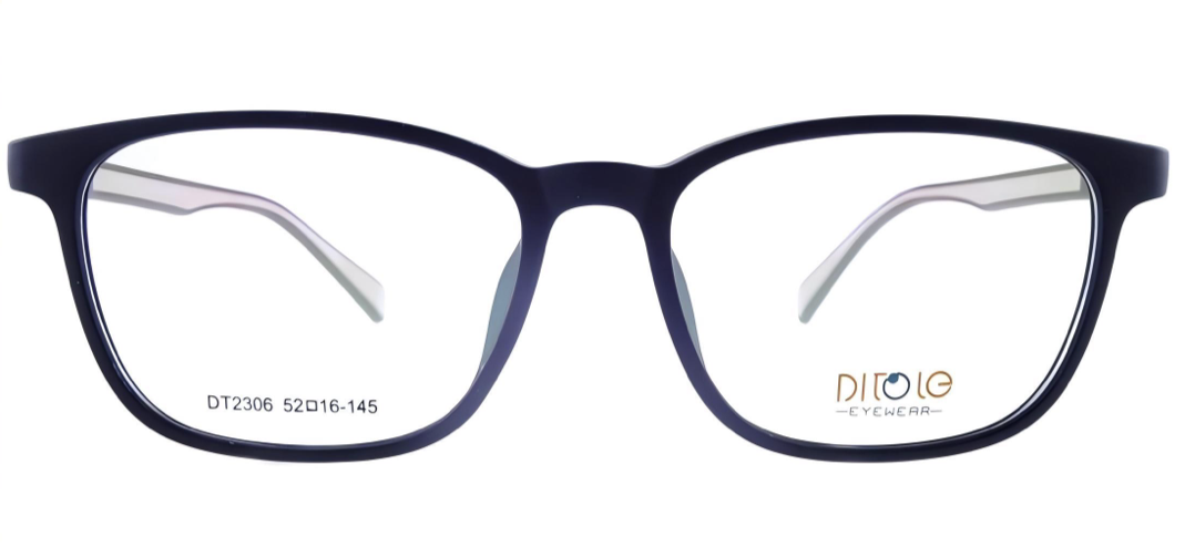 DT2306