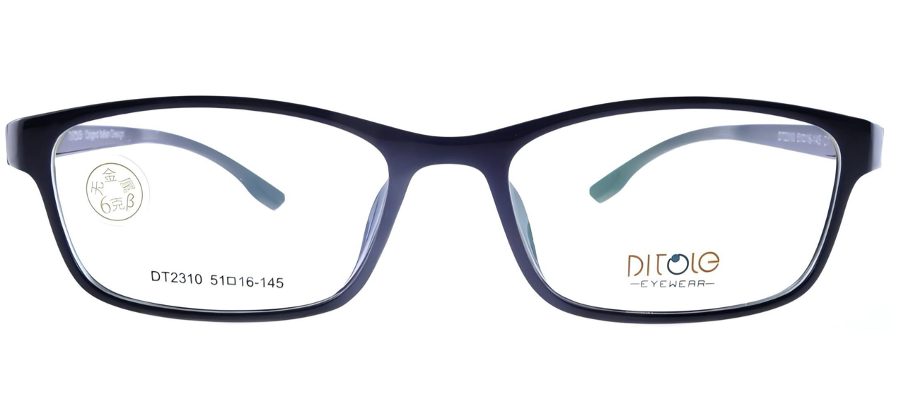 DT2310